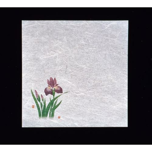 新・濡れ奉書紙(100枚入) 菖蒲