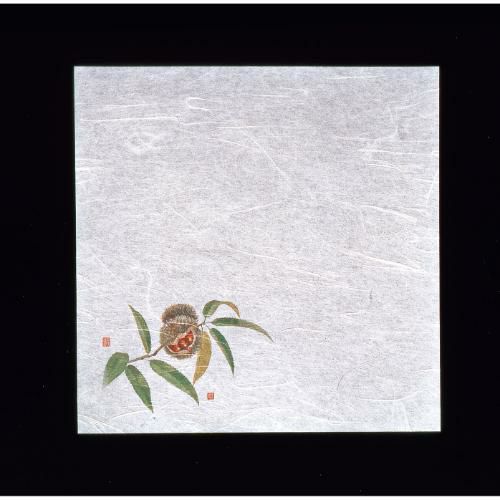 新・濡れ奉書紙(100枚入) 栗