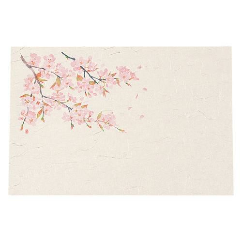 尺3四季懐石まっと(50枚入) 桜