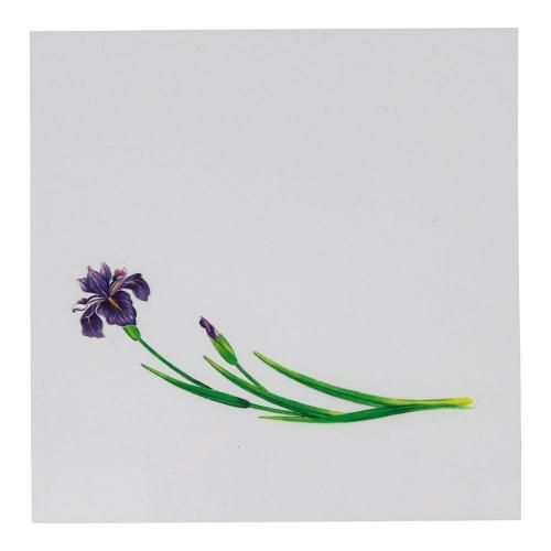 OPクリア四季 あやめ(200枚入) OS-12-7