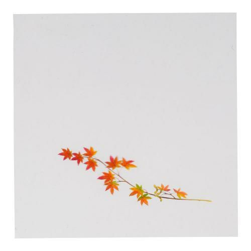 OPクリア四季 赤もみじ(200枚入) OS-15-9