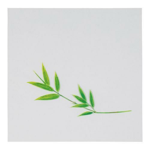 OPクリア四季 笹(200枚入) OS-12-3