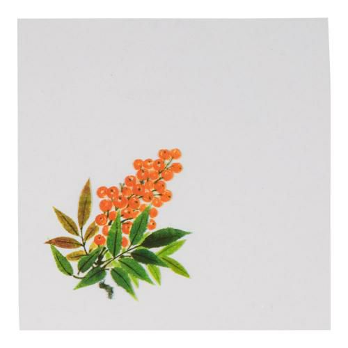 OPクリア四季 南天(200枚入) OS-12-4