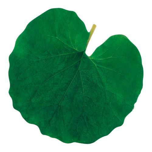 型抜きクリアシート(200枚入) 65365 ふき