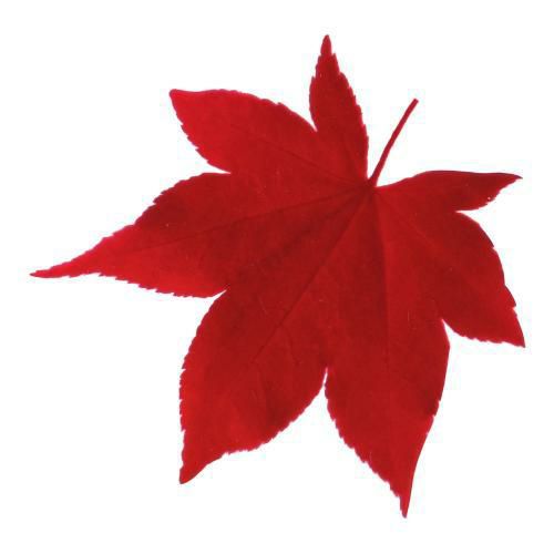 型抜きクリアシート(200枚入) 65785 ミニ・赤もみじ