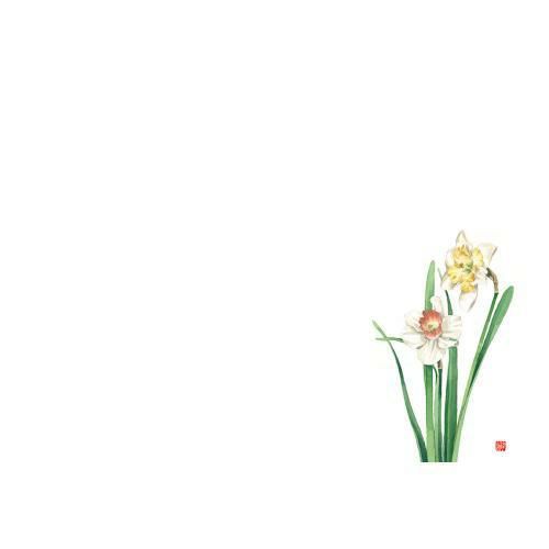 尺3 テーブルマット(100枚入) スイセン No.529