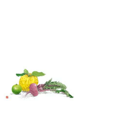 尺3 テーブルマット(100枚入) 鬼柚子と赤カブ No.531