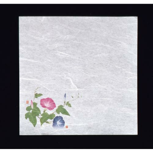 新・濡れ奉書紙(100枚入) 朝顔