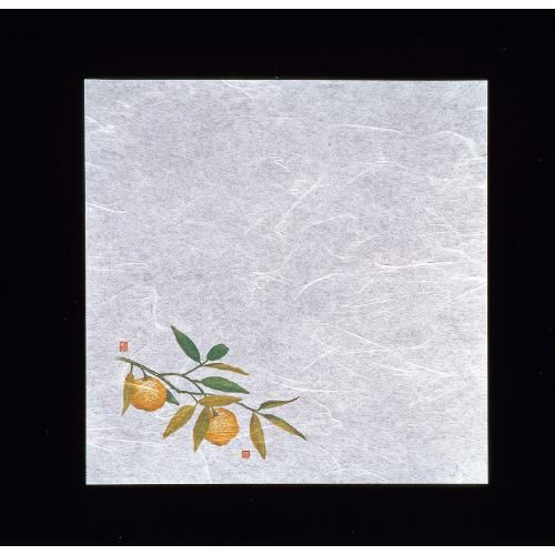 新・濡れ奉書紙(100枚入) 柚子