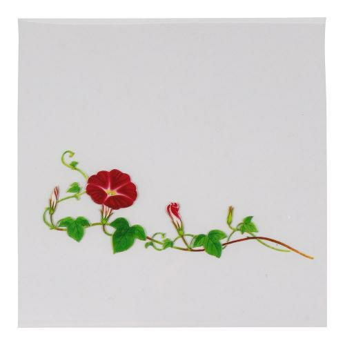 OPクリア四季 朝顔(200枚入) OS-12-8