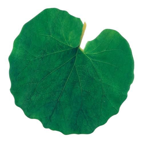 型抜きクリアシート(200枚入) 65781 ミニ・ふき