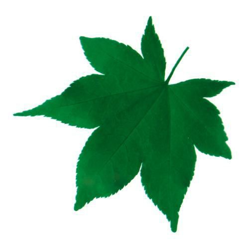 型抜きクリアシート(200枚入) 65366 青もみじ