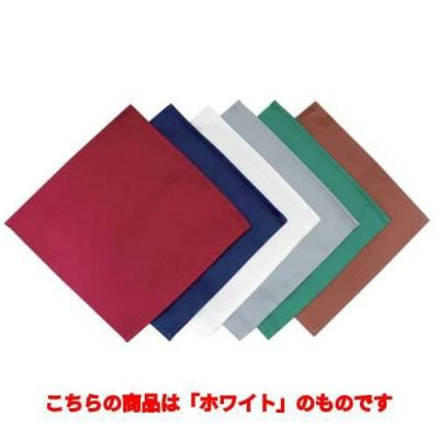 EBM カトラリーケース用ナプキン(10枚入)ホワイト 230×230