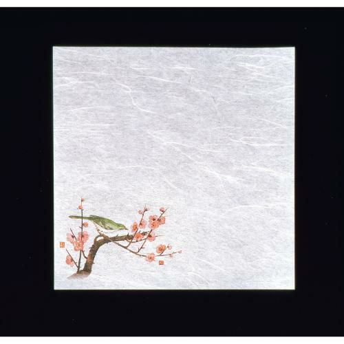 新・濡れ奉書紙(100枚入) 梅