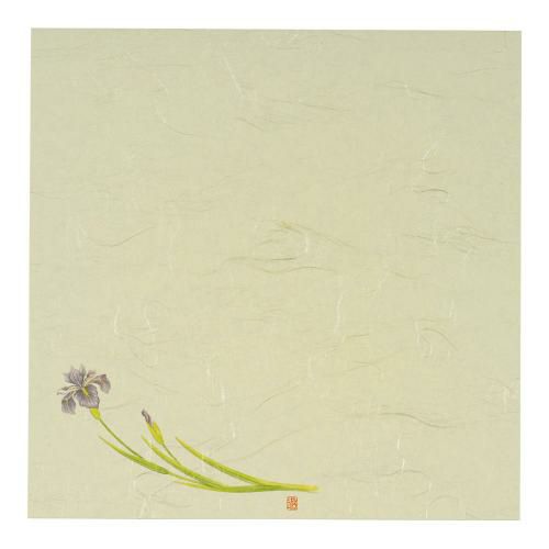 5寸懐紙 四季の花(100枚入) S5-5 あやめ