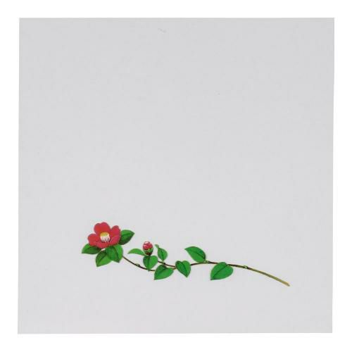 OPクリア四季 椿(200枚入) OS-15-10