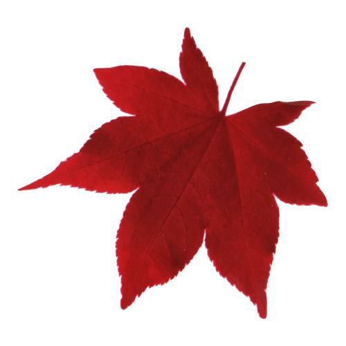 型抜きクリアシート(200枚入) 65368 赤もみじ