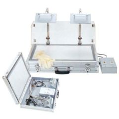 アメランプ 2灯式 312500(トランクタイプ)