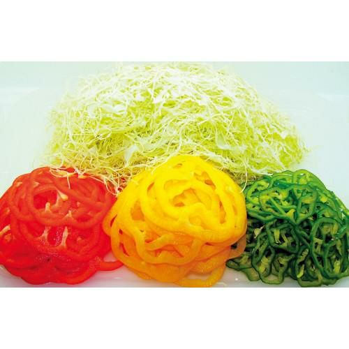 ドリマックス マルチスライサー DX-100