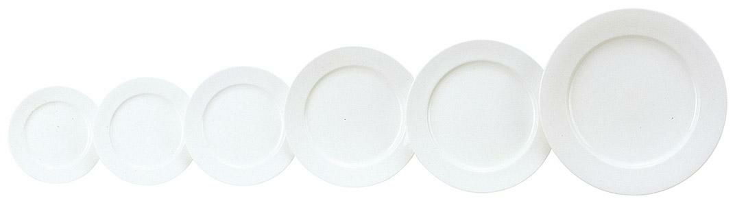 8インチリム付デザートテクノライト