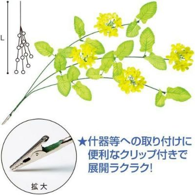 アルファ ミニ菜の花シダレ (クリップタイプ)