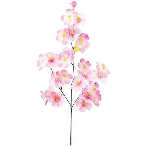 アルファ ニュー大桜スプレー