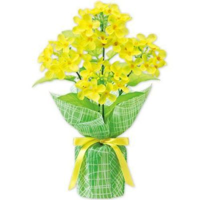 アルファ 菜の花バリューラッピングポット