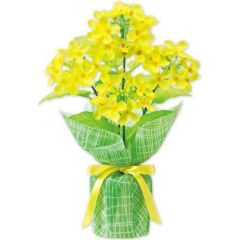 アルファ 菜の花バリューラッピングポット