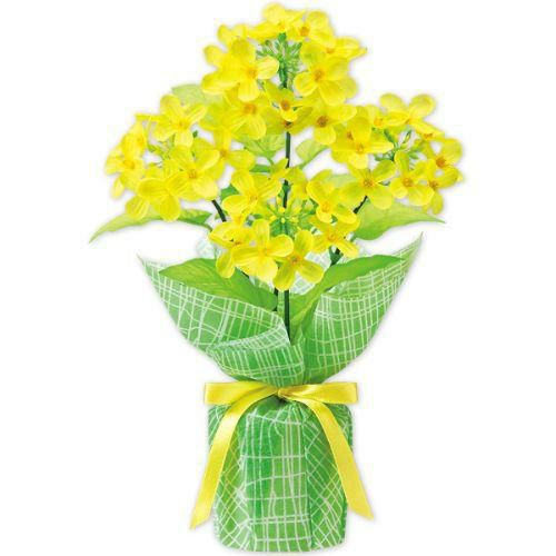 アルファ 菜の花バリューラッピングポット