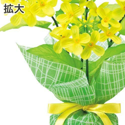 アルファ 菜の花バリューラッピングポット