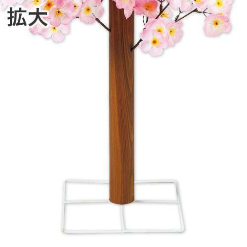 アルファ 桜バリュー立木   (高さ70cm)