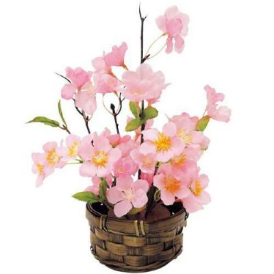 アルファ 山桜盛カゴ