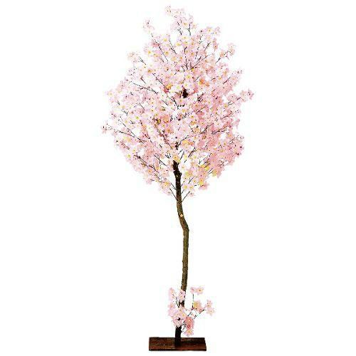 アルファ ナチュラル桜立木 (大)  (高さ180cm)
