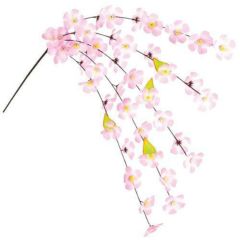 アルファ 桜エコシダレ