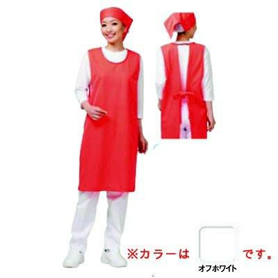 アイメッシュエプロン ノースリーブタイプ E5100-00G オフホワイト