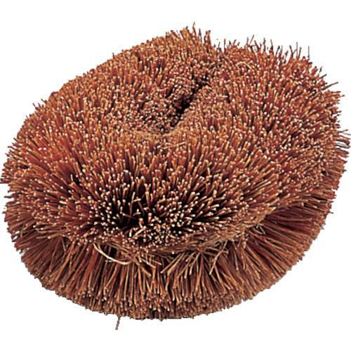 TRUSCO ナチュラルブラシ「いがぐり君」 170mm