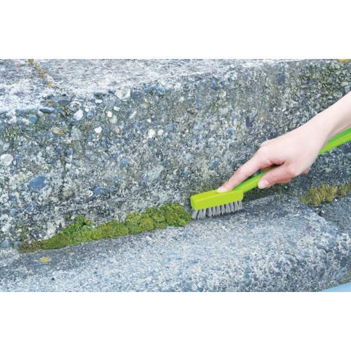 azuma BA725 コケ取りブラシステンレス