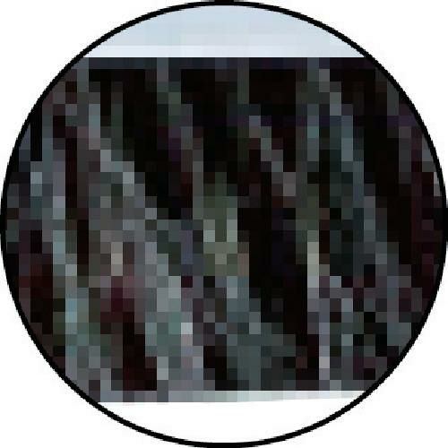 コンドル プロテック 自由ほうき ブルロンTF-N45 伸縮柄タイプ