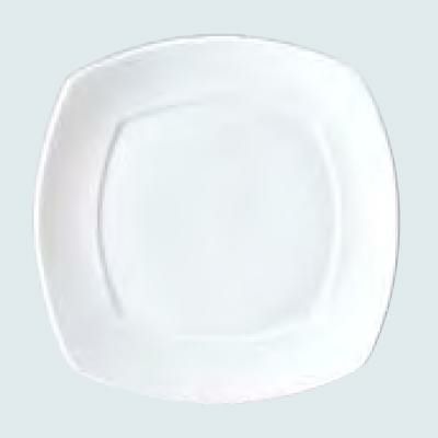 カノン プレート 20.5cm /グループS