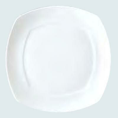 カノン プレート 23.5cm /グループS