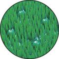 テラモト 屋外マット テラエルボーマット 緑 600×900mm