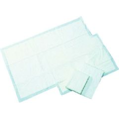 橋本 吸水パッド 600×900mm （50枚入）