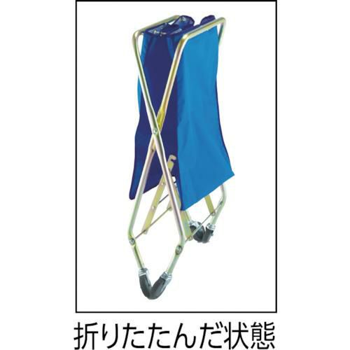 テラモト ダストカーSD大