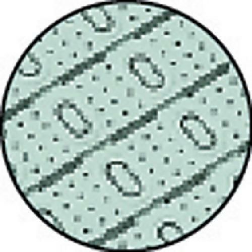 テラモト ロ-ルスノコ 土足用 緑