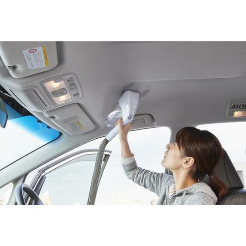 IRIS 573718 リンサークリーナー