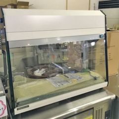 中古】冷蔵ディスプレイケース ホシザキ KD-90D1-W 幅932×奥行390×高さ 