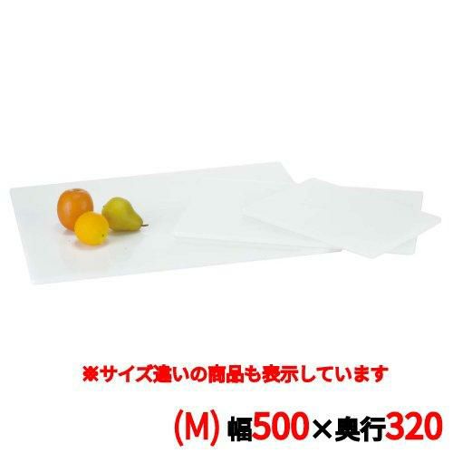 トレイ 【ブッフェステーション 長角ホワイトトレイ W5032(M)500×320】 W5032/