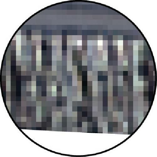 テラモト ホーキ伸縮柄