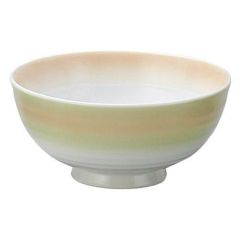 飯椀 【二色吹(若草オレンジ) 飯碗】 高さ55mm×直径:113【グループB】【プロ用】