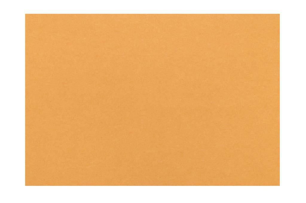 テーブルマット 里紙(100枚入) びわ No.1101